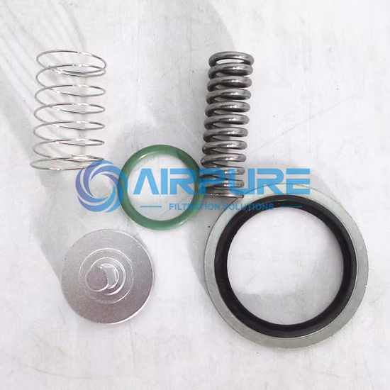 Kit de réparation de compresseur d'air de remplacement haute performance 9211107p (2901051100) (2901195200)