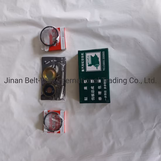 Kit de réparation de compresseur d'air de pièces de rechange de camion de pièces de camion de pièces de Sinotruk HOWO Vg1560130080